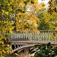 Buy canvas prints of A bridge heading towards autumn by Rowena Ko
