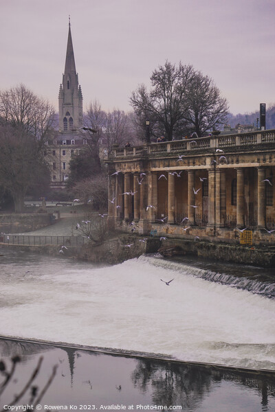 Morning View of the Pulteney Weir  Picture Board by Rowena Ko