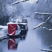 Buy canvas prints of Kennet & Avon Canal in Snow by Rowena Ko