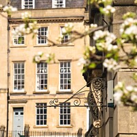 Buy canvas prints of Walcot Place in a sunny day  by Rowena Ko