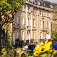 Buy canvas prints of Widcombe Crescent in a Sunny Day  by Rowena Ko