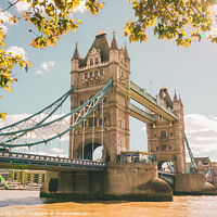 Buy canvas prints of The Tower Bridge, London by Rowena Ko