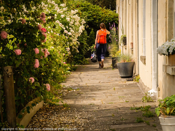 Lyndhurst Terrace, Bath in blooming summer.  Picture Board by Rowena Ko
