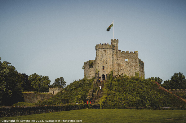 Cardiff Castle: A Verdant Royal Legacy Picture Board by Rowena Ko