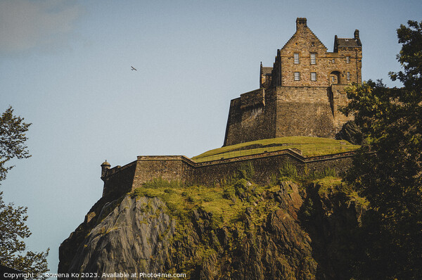 Edinburgh Castle Rising from Castle hill  Picture Board by Rowena Ko