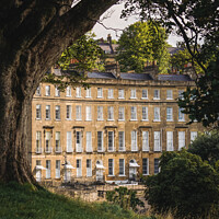 Buy canvas prints of Cavendish Crescent framed by a tree by Rowena Ko