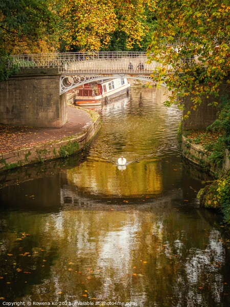 Golden Autumn in Bath along the Kennet & Avon Canal Picture Board by Rowena Ko
