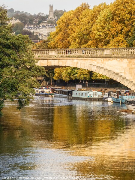 Golden Autumn in Bath along the River Avon Picture Board by Rowena Ko