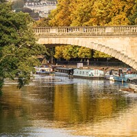 Buy canvas prints of Golden Autumn in Bath along the River Avon by Rowena Ko