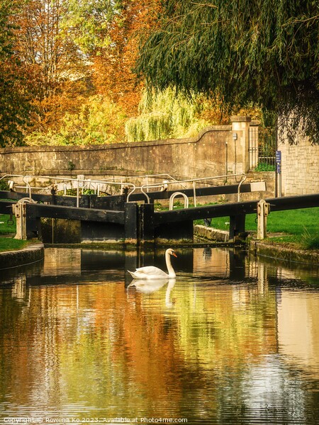 Golden Autumn in Bath along the Kennet & Avon Canal Picture Board by Rowena Ko