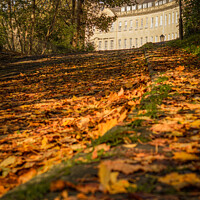 Buy canvas prints of Abstract Fall mood photo of cotswold city Bath in Autumn by Rowena Ko