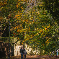 Buy canvas prints of Fall mood photo of cotswold city Bath in Autumn by Rowena Ko