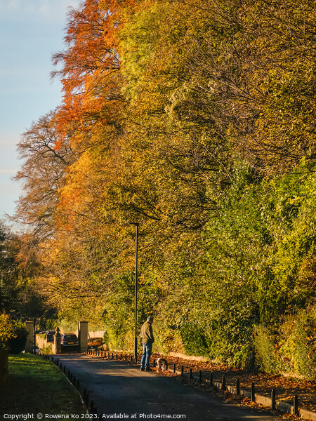 Fall mood photo of cotswold city Bath in Autumn Picture Board by Rowena Ko