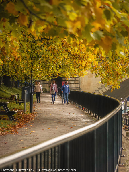 Fall mood photo of cotswold city Bath in Autumn Picture Board by Rowena Ko