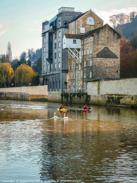 Photography of River Avon in cotswold city Bath, somerset, UK Picture Board by Rowena Ko