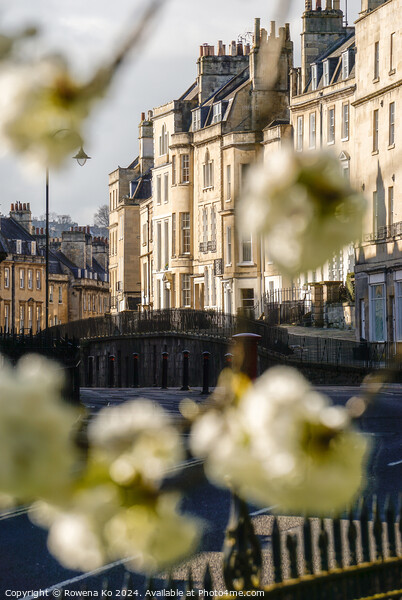 Photography of Paragon in cotswold city Bath, somerset, UK  Picture Board by Rowena Ko