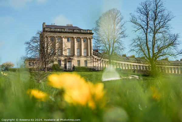 Photography of Royal Crescent in cotswold city Bath, somerset, UK  Picture Board by Rowena Ko