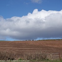 Buy canvas prints of Freshly Ploughed  by Mary M Rodgers