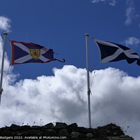 Buy canvas prints of Saltires Flying High by Mary M Rodgers