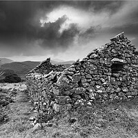 Buy canvas prints of The Ruin and the Skeleton Tree by Dave Urwin