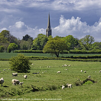 Buy canvas prints of St Mary's Church, South Dalton Church, East Yorkshire, in rural setting with sheep. by Anthony David Baynes ARPS