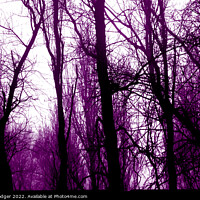 Buy canvas prints of Tungsten Stark Trees by Andy Rodger