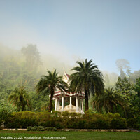 Buy canvas prints of Buddhist shrine in the morning fog by Catalina Morales