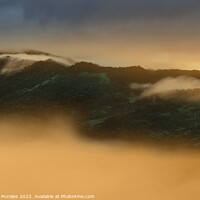 Buy canvas prints of Sunrise in the Andean rainforest of Colombia by Catalina Morales