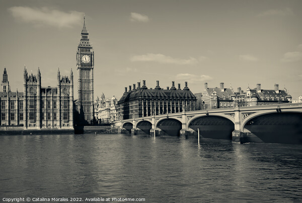 View of London's famous Houses Of Parliament Big Ben in sepia colors Picture Board by Catalina Morales