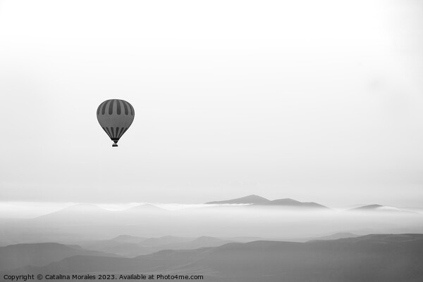 Hot air balloon in Black and White Picture Board by Catalina Morales