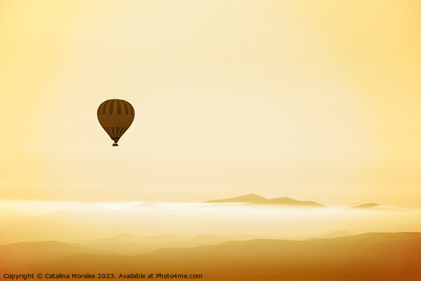 Hot air balloon over mountains in dawn mist Picture Board by Catalina Morales