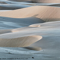 Buy canvas prints of Dunes, lights and colors by Catalina Morales