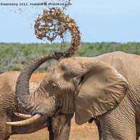Buy canvas prints of Elephant spraying water by Etienne Steenkamp