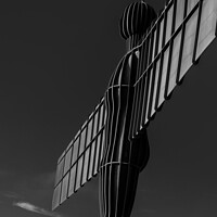 Buy canvas prints of Angel of the North by Liam Roberts