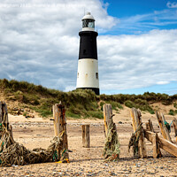 Buy canvas prints of Spurn Point Lighthouse by Traci Habergham