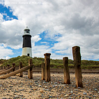 Buy canvas prints of Spurn Point Lighthouse by Traci Habergham