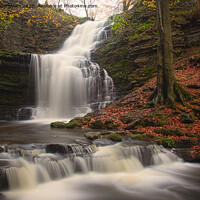 Buy canvas prints of An Autumnal Scalebar Force Waterfall by Traci Habergham