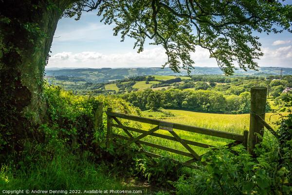 Devon Countryside View Picture Board by Andrew Denning
