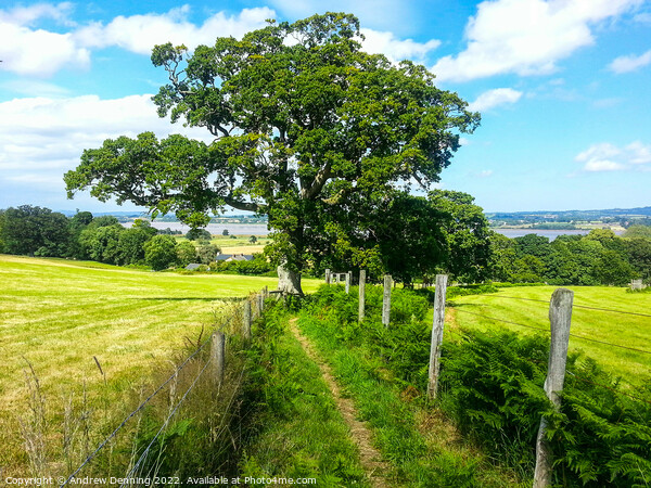 A footpath at Powderham in Devon  Picture Board by Andrew Denning