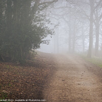Buy canvas prints of path to somwhere by Andy Shackell
