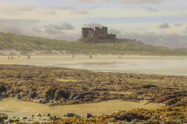 Bamburgh Castle Picture Board by Andy Shackell