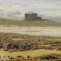 Buy canvas prints of Bamburgh Castle by Andy Shackell