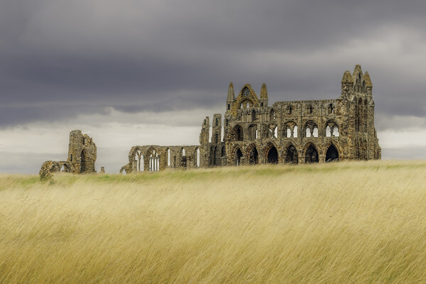 Whitby Abbey Picture Board by Andy Shackell