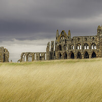 Buy canvas prints of Whitby Abbey by Andy Shackell