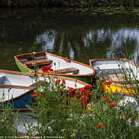 Buy canvas prints of poppies and boats by Andy Shackell