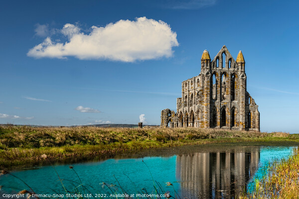 Whitby Abbey Picture Board by Storyography Photography