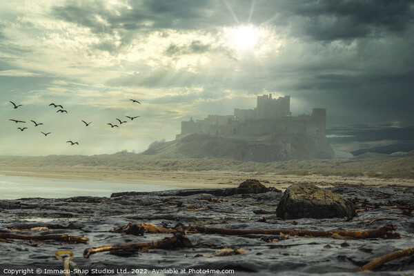  Misty Morning at Bamburgh Castle Picture Board by Storyography Photography