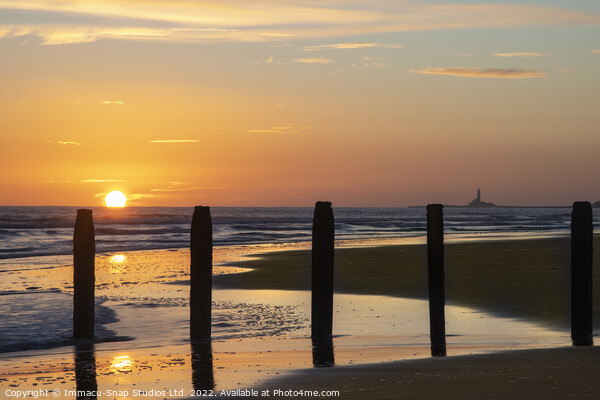 Sunset at Blyth Picture Board by Storyography Photography