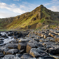 Buy canvas prints of Giant's Causeway by Storyography Photography