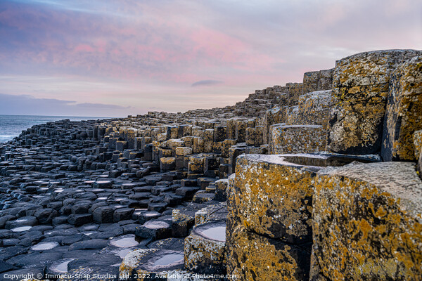 Overlooking the Giant's Causeway Picture Board by Storyography Photography